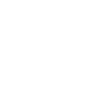 Visualizer